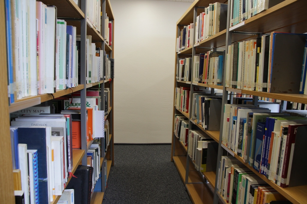 Library book shelves